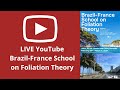 Brazilfrance school on foliation theory  course local holomorphic dynamics  03