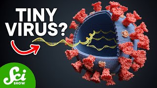 The Smallest Pathogen on Earth: Viroids Explained