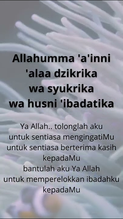 Doa selepas solat untuk kita lebih beristiqomah#like#follow#share#syafaatselawatnabimuhammad