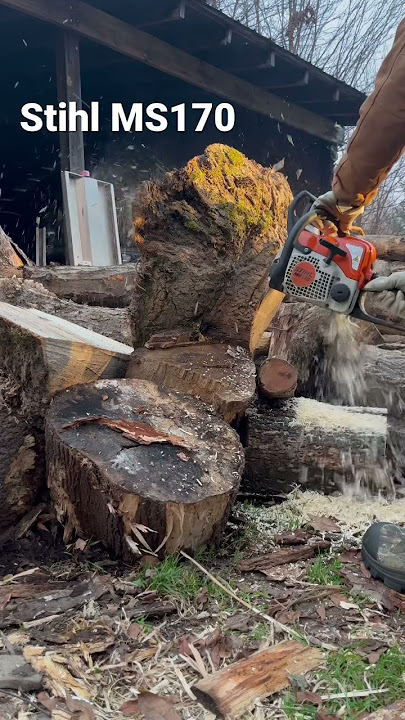 A little storm cleanup with Stihl ms170 : r/Chainsaw