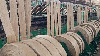 Jute Bags Manufacturing Complete Process | Jute Industry in India |Jute Cultivation of India