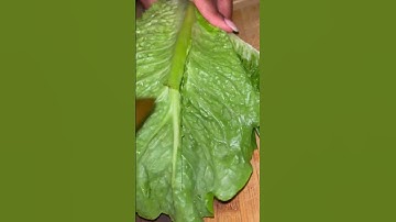 Salad #shorts #trending #trending #cooking #foodie #asmr #salad #asmrsounds