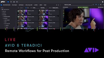 Live Webinar: Remote Workflows for Post Webinar