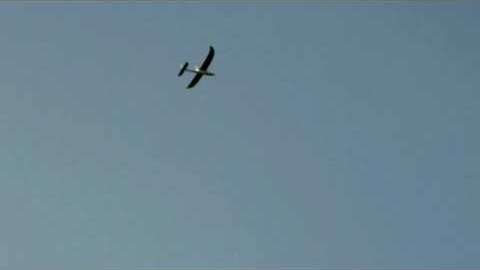 Easy Star Triple Loop