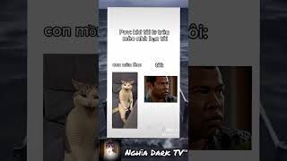meme 254 #shorts #xuhuongyoutube #memes