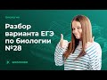 Разбор варианта ЕГЭ по биологии №28