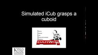 Simulation results of the Low Dimensional Grasping Algorithm