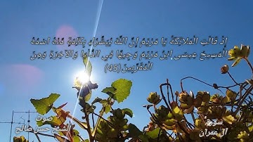 سورة آل عمران من اية 33 الى اية 51 🌹 بصوت الشيخ حسن صالح
