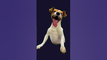 Omen Moments | ninja spike defuse #omen #valorant #valorantclips #clutch #spike #gaming #foryou