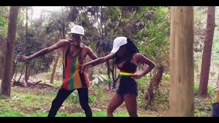 Blaiz Fayah & Tribal kush-Bad (official dance video)