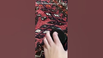 Day 17 of rolling dice until I get a Yahtzee