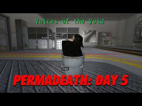 Ball Lightning In Your Area | Voices of the Void [Permadeath Day 5]