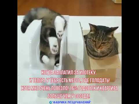 Когда заплатил за ипотеку. И теперь у тебя есть место, где голодать!