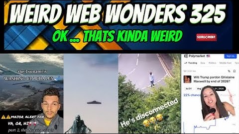 weird web wonders 325