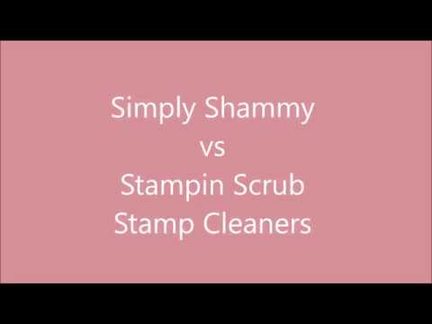 Review and How to: Clean your stamps & Misti, as well as how to