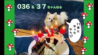 【番外編179】036&37ちゃんねる：完全オフモード。まったり、ダラダラ、とりとめなく。夕方、一杯やりながらお気楽に。イメージは「深夜ラジオ風」。不動産投資の話とかはしません。