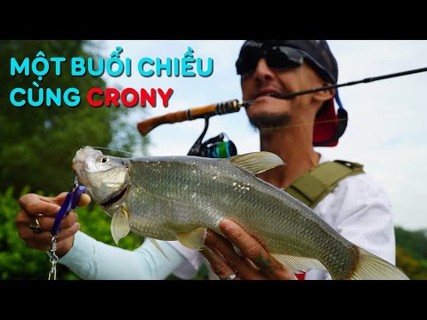 Team Crony Bào Cá Lóc Hồ Côn Sơn Chí Linh | VIETNAM FISHING
