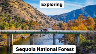 Exploring The Beautiful Sequoia National Forest by No Road No Problem  211 views 5 months ago 16 minutes