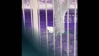 BEST OF USER-177606669 VOL. 1