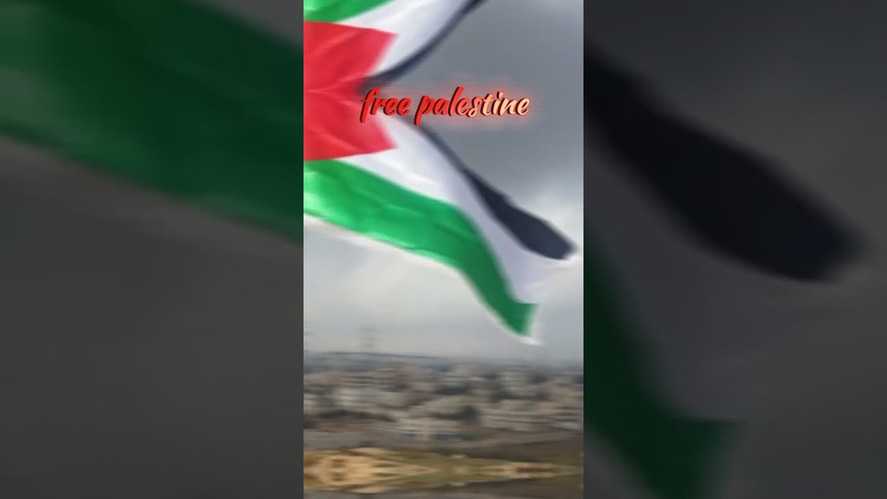 i stand with palestine