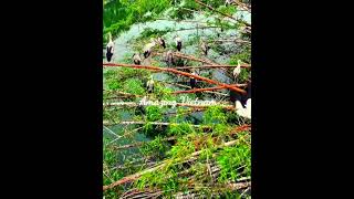 Amazing Vietnam, Daily Tours - Viet Beauty Travel