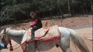 My First Riding Horse Looking For The Castle 2014