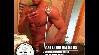 IFBB Jiri Malir - Shoulder workout (short)