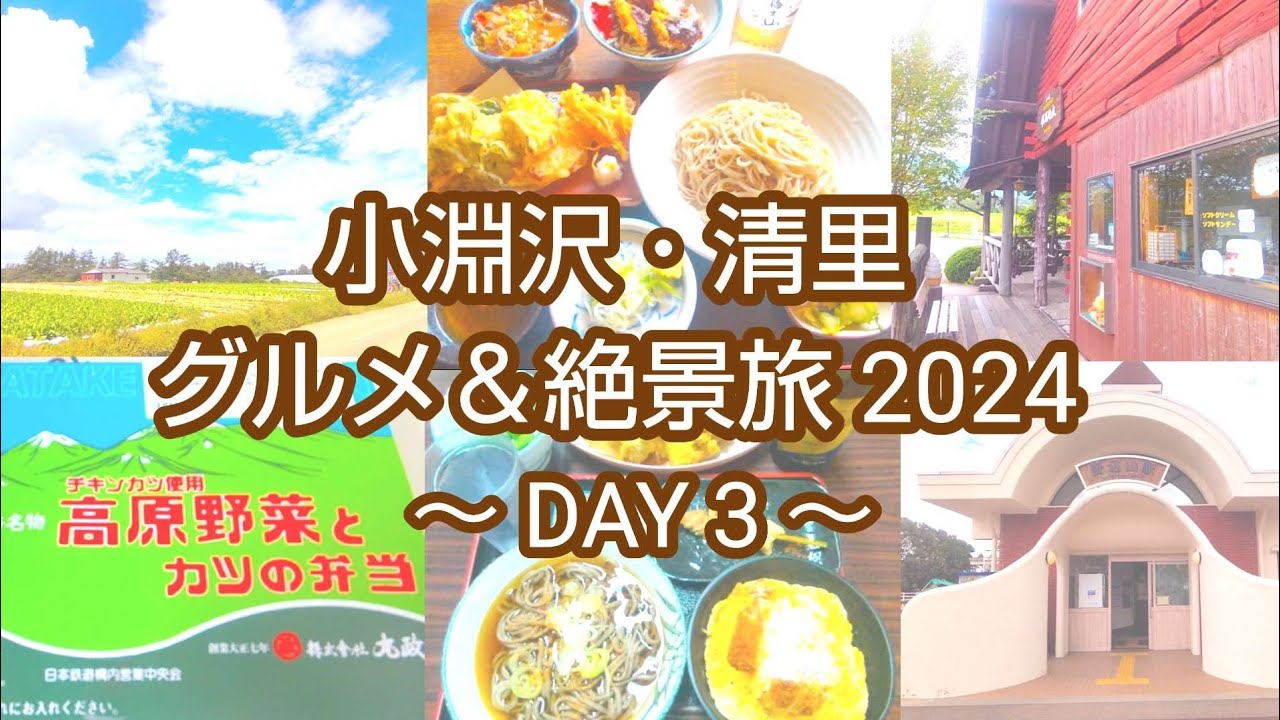 【飲み食いメイン】小淵沢で＆野辺山で＆宿泊している温泉で、飲み食い中心の1日。JR最高地点では絶品蕎麦、小淵沢のあの有名な駅弁も登場！美味しい物がいっぱいで、気持ちの高ぶりも最高地点に。【DAY3】