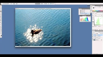 Curves - Cross Process