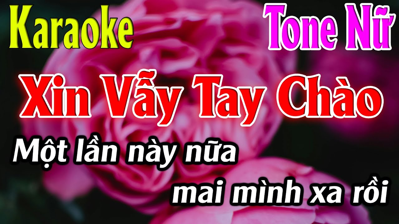 Xin Vẫy Tay Chào Karaoke Tone Nữ ( D#m ) Karaoke Lâm Organ - Beat Mới