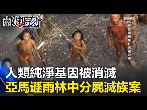 人類純淨基因被消滅 亞馬遜雨林中的分屍滅族案之謎！？ 關鍵時刻 20170913-5 朱學恒 黃創夏 丁學偉