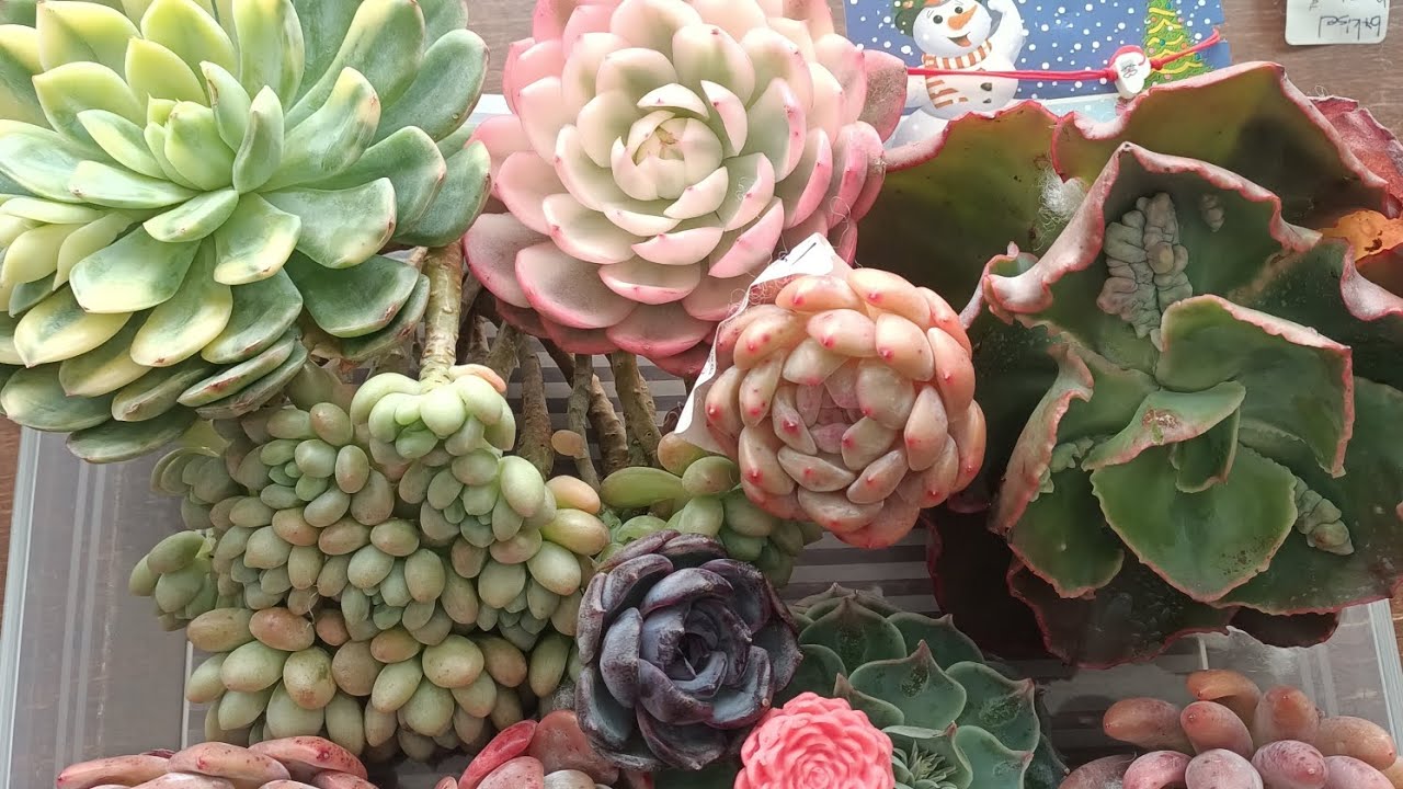 Давайте заварим кофе, мы принимаем заказы на доставку ☕💃