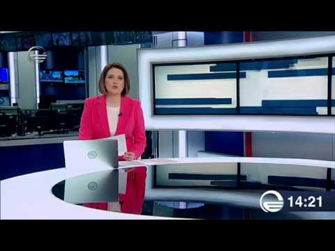 \"ერთიანი აგროპროექტის\" ფარგლებში გურიის რეგიონში ლურჯი მოცვის ახალი ბაღი გაშენდა