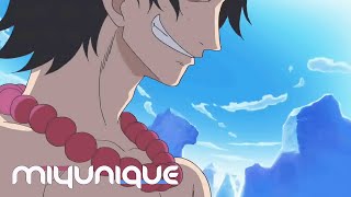 Miyunique - Niemals Wieder One Piece Op13