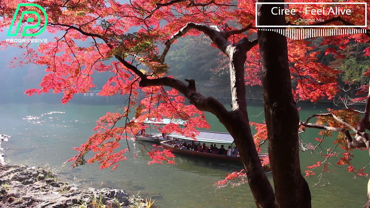 Ciree - Feel Alive (Original Mix) [Progressive Dreams]