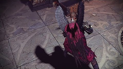 Path of Exile: Raven Cloak