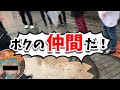 【実写】偽山やんみがとびユニの仲間たちに会った結果www【 #とびユニ 】