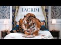 Lacrim  trabaja paroles