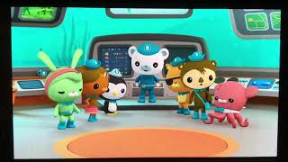 Octonauts Creature Report Frog