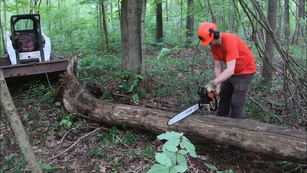 Bobcat SkidSteer & Stihl Chainsaw on Homestead YouTube