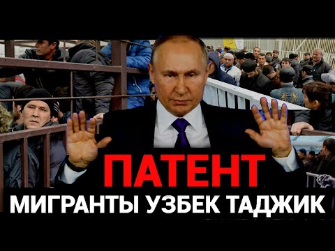 ДИККАТ❗️МИГРАНТ УЗБЕК ТАДЖИКГА НЕГА ПАТЕНТ БЕРИЛМАЯПДИ ПИТЕР МОСКВА❗️