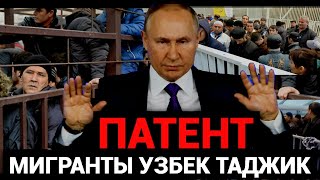 ДИККАТ❗️МИГРАНТ УЗБЕК ТАДЖИКГА НЕГА ПАТЕНТ БЕРИЛМАЯПДИ ПИТЕР МОСКВА❗️ image