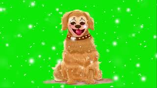 Puppy Enjoying Snow Green Screen