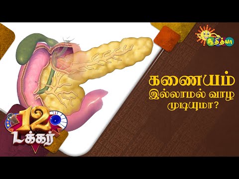 கணையம் இல்லாமல் வாழ முடியுமா?  | 12 Tucker | Adithya TV