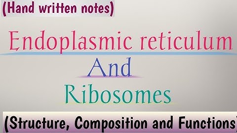 Endoplasmic reticulum and ribosomes | Structure, composition and function | Learn with Aroosa waheed
