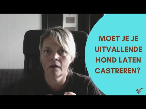 Video: Waarom Zou U Uw Hond Castreren Of Castreren?