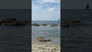 Mare con scogli e barche a vela