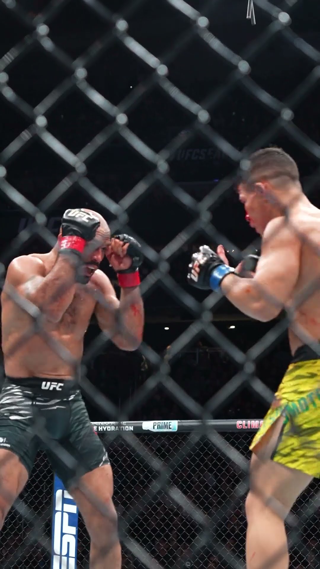 What a way to end a fight! ? #ufcseattle