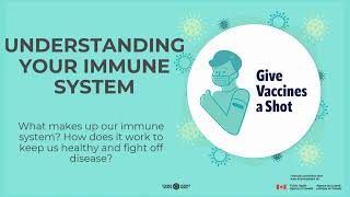 Health and Wellness Workshop – Understanding Your Immune System