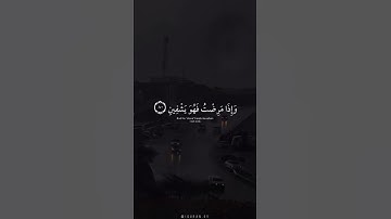 اكتب شي تؤجر عليه 🤍 | القارئ اسلام صبحي | قرآن كريم